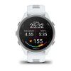 garmin forerunner 170 whitestone cloud blue (3)