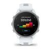 garmin forerunner 170 whitestone cloud blue