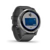Garmin vívoactive4  Silver/Gray Band