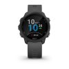 Garmin Forerunner 245  Slate / Gray Band