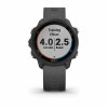 Garmin Forerunner 245  Slate / Gray Band