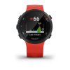 Garmin Forerunner 45  Optic Red