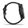 Garmin Venu 2  Slate / Black Band + dárek
