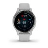 Garmin Venu 2s  Silver/Gray Band