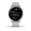 Garmin Venu 2s  Silver/Gray Band