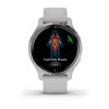 Garmin Venu 2s  Silver/Gray Band