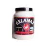 Gelamax 500g