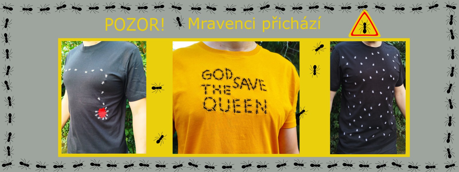 mravenci