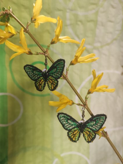 Ornithoptera Goliath