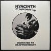 Hyacinth -  Dedicated to Disappointment