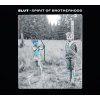 Slut brotherhood