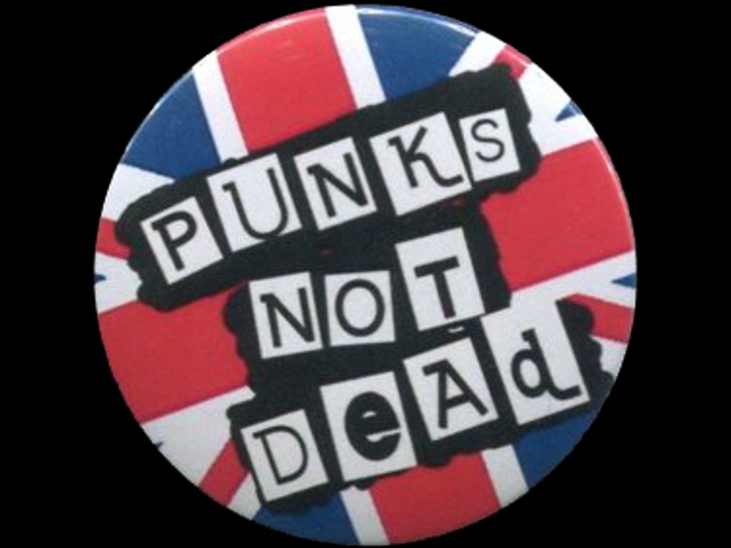 22033 13732 placka 37 punk s not dead color