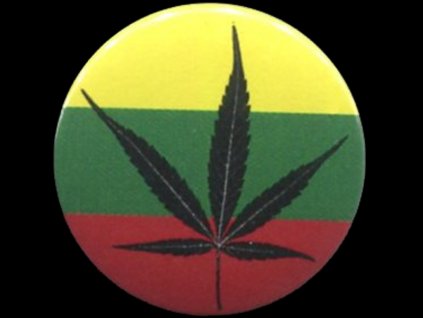 placka 25 rostlinka rasta