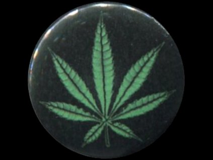 placka 25 rostlinka zelena