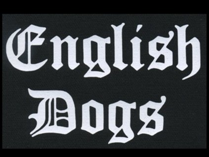 nasivka english dogs