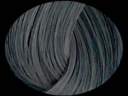 22462 14161 barva na vlasy directions stormy grey