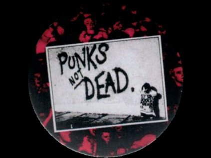 24493 16240 placka 37 exploited punk s not dead