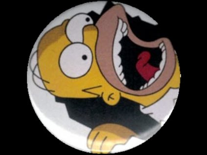 placka 25 homer simpson