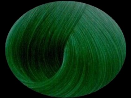 25045 barva na vlasy directions apple green original