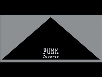 satek punk forever