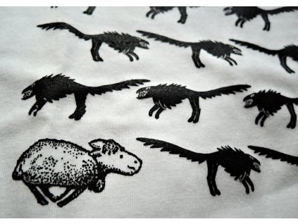 vlci versus beránci