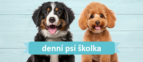 460x200_boxiky-skolka