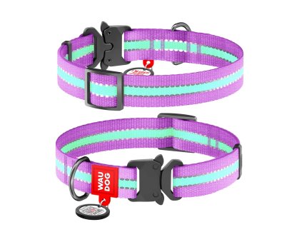 WAUDOG Obojek nylonový Glow fialový QR fastex (-velikost- 37-58cm/2,5cm)