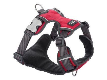 Red Dingo Postroj polstrovaný XS 31-43cm