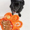 Red Dingo PetDreamHouse zpomalovací miska Paw Slow Feeder