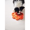 Red Dingo PetDreamHouse zpomalovací miska Paw Slow Feeder