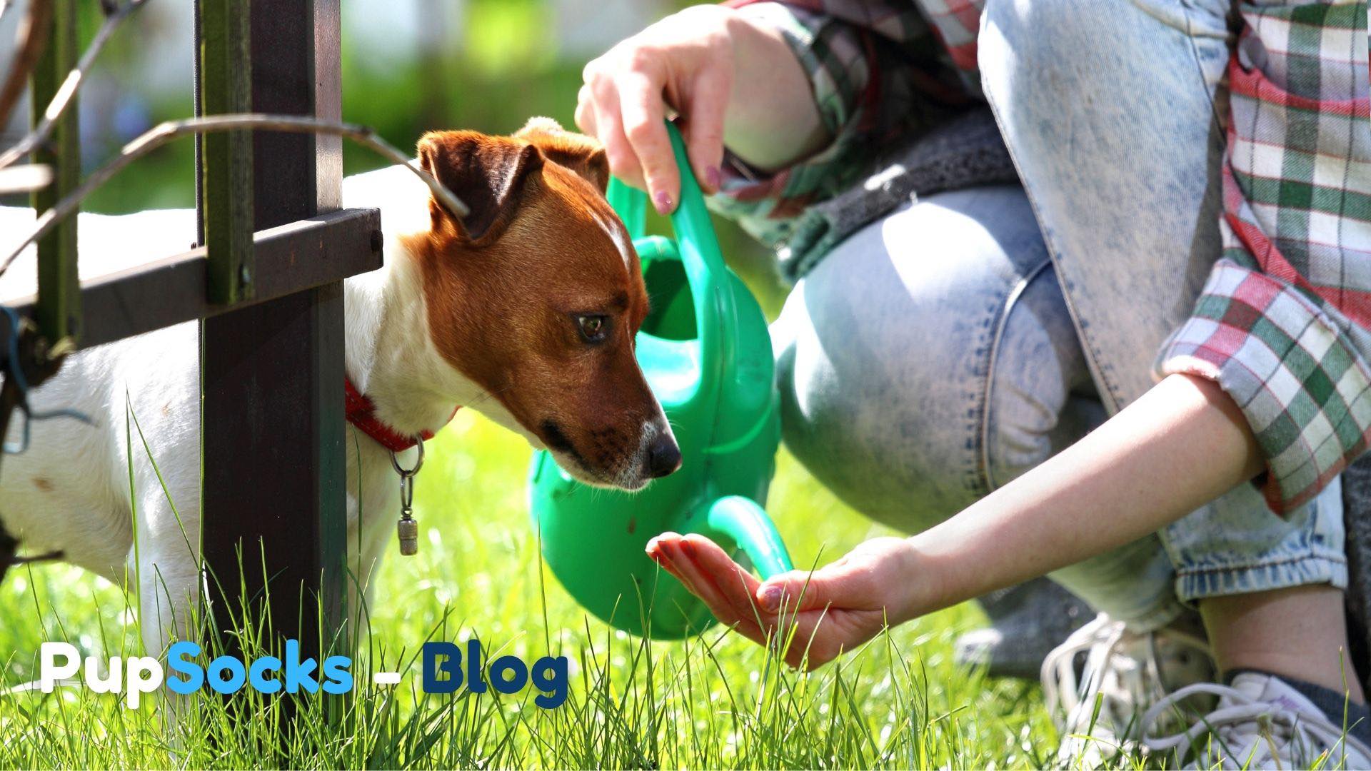 Jak se připravit na sezónu chat?