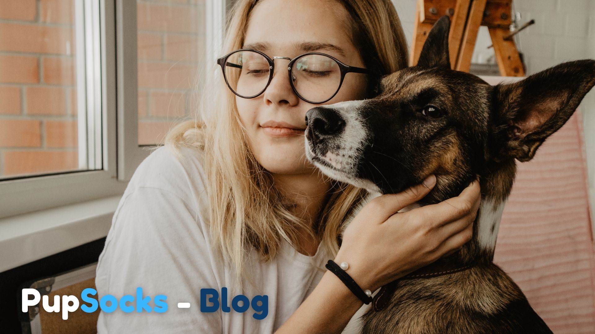 Nápad: pořídit si dospělého psa