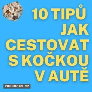 Cestování s kočkou v autě může být pro některé majitele koček výzvou. Některé kočky nejsou zvyklé na jízdu v autě a mohou...