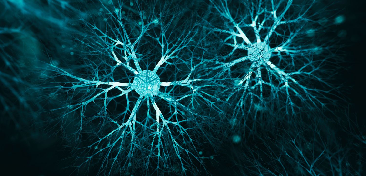 Glymfatický systém: Jak mozek „uklízí“ během spánku a co pro to můžete udělat