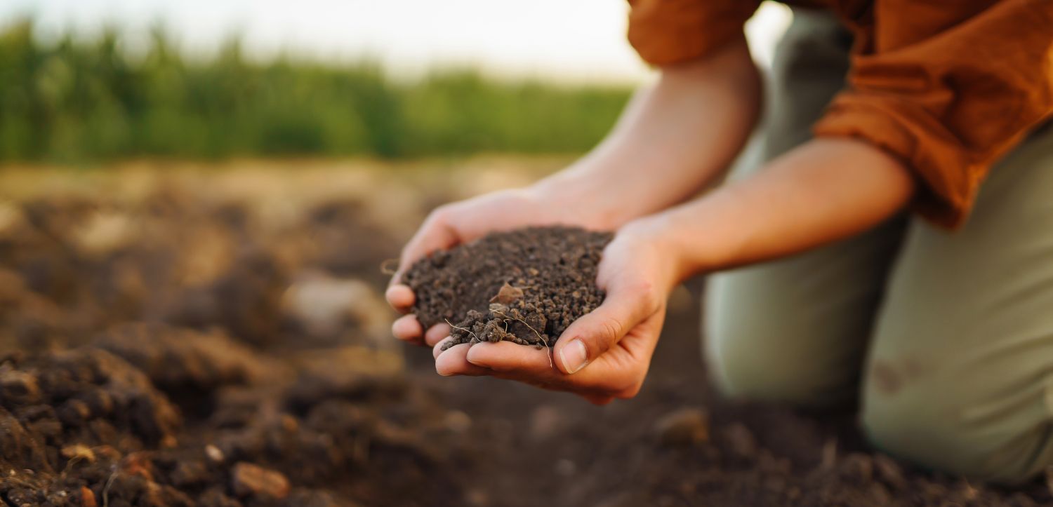 Co jsou půdní probiotika a k čemu jsou dobrá?