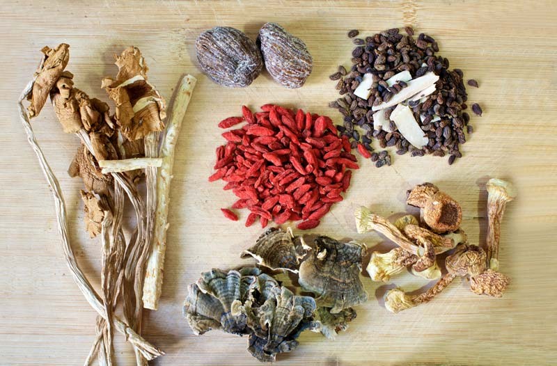 Znáte tibetskou medicínu?