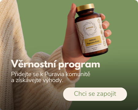 Vernostni program
