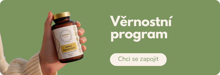 Vernostni program