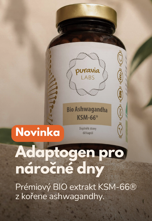 Doprava