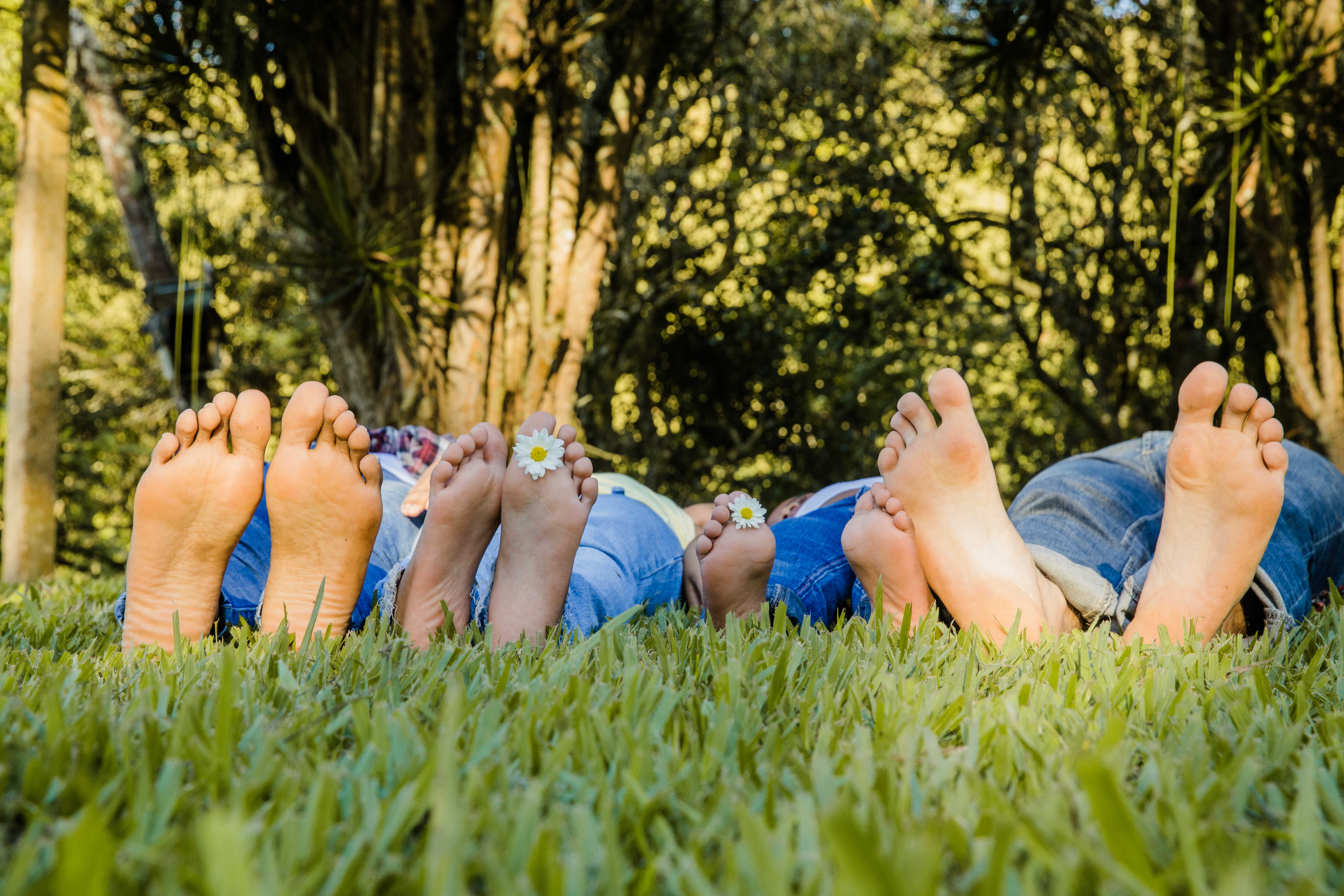 grounding, earthing, uzemnovani