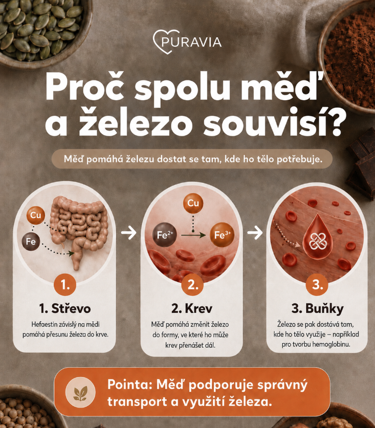 zelezo a med