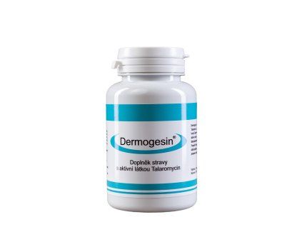 Dermogesin, 60 kapslí - hlavní