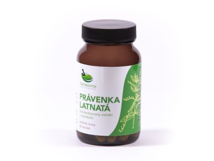Právenka latnatá - hlavní
