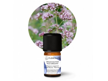 Divoké oregano compacta BIO 5g