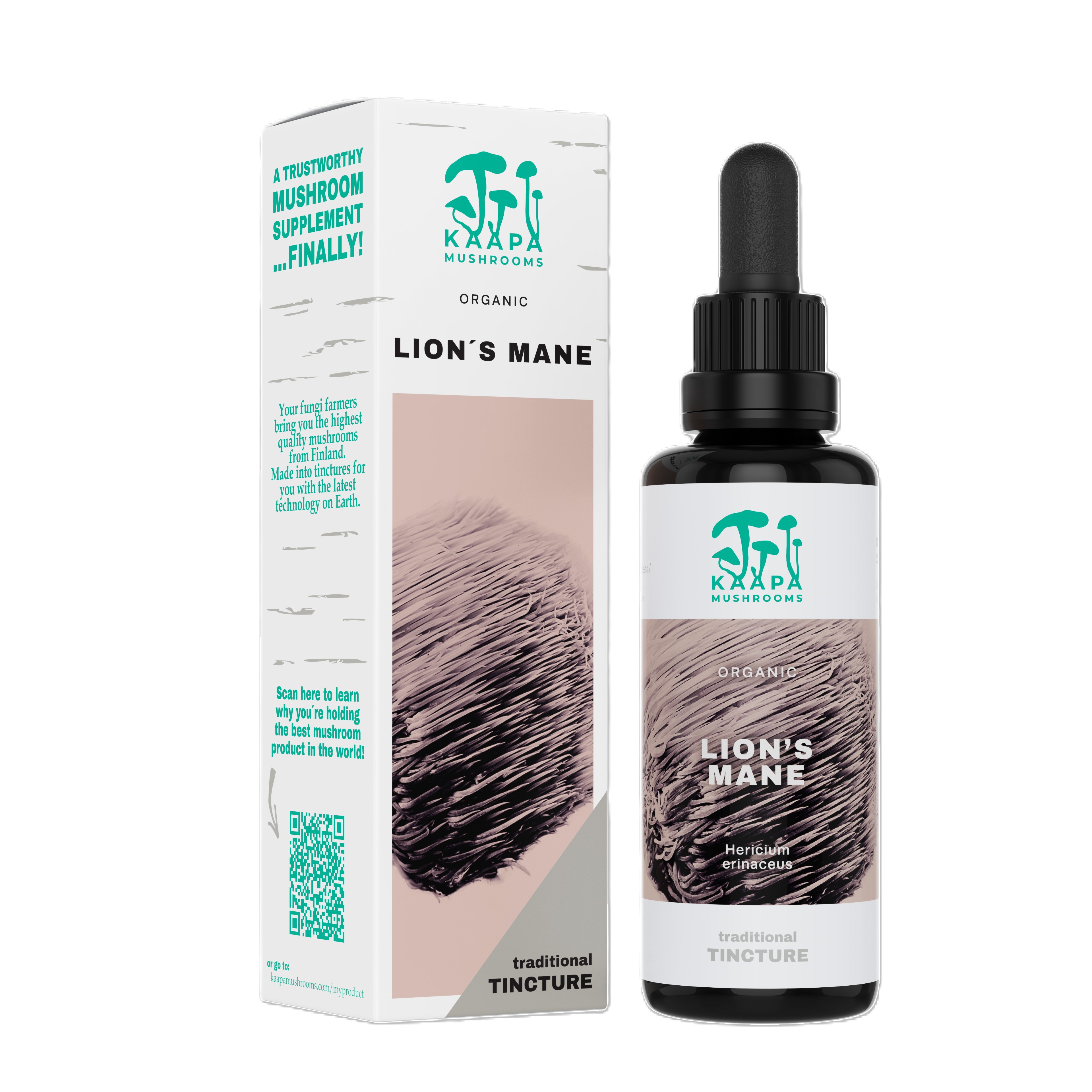 Lion\'s Mane BIO, tinktura 50 ml