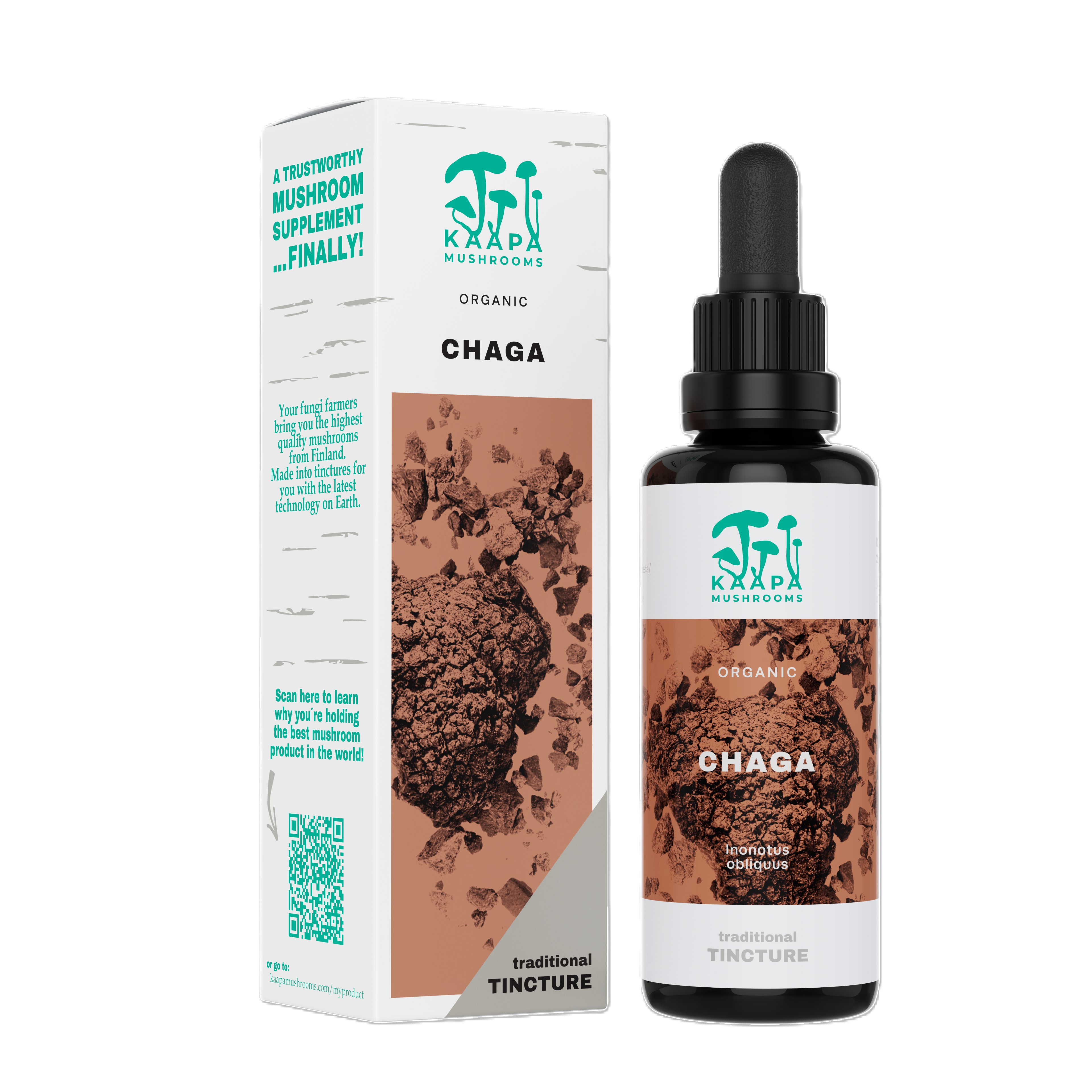 Chaga BIO, tinktura 50 ml