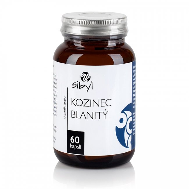 Kozinec blanitý, 60 kapslí