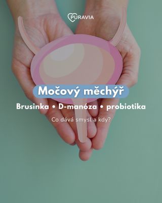 Močový měchýř umí v zimě potrápit víc než jindy. A když dojde na doplňky, nejčastěji se řeší brusinka, D-manóza a...
