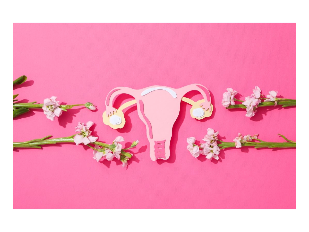 Průvodce menstruačním cyklem: vše o ženském zdraví & 7 tipů pro zdravou menstruaci