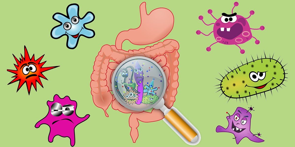 Jakou roli hrají střeva a mikrobiom na naše zdraví?